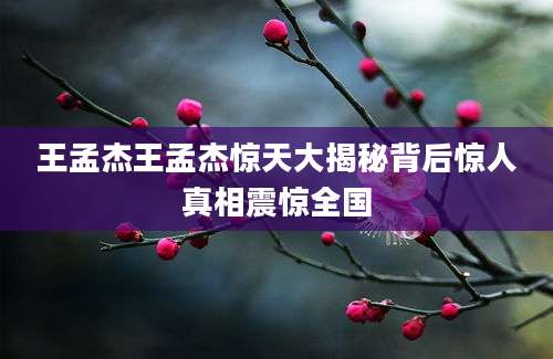 王孟杰王孟杰惊天大揭秘背后惊人真相震惊全国