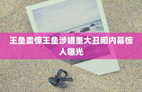 王垒震惊王垒涉嫌重大丑闻内幕惊人曝光