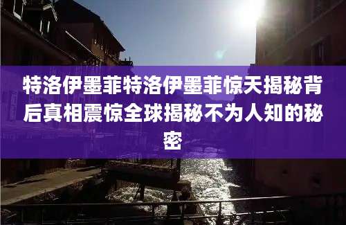 特洛伊墨菲特洛伊墨菲惊天揭秘背后真相震惊全球揭秘不为人知的秘密