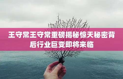 王守常王守常重磅揭秘惊天秘密背后行业巨变即将来临