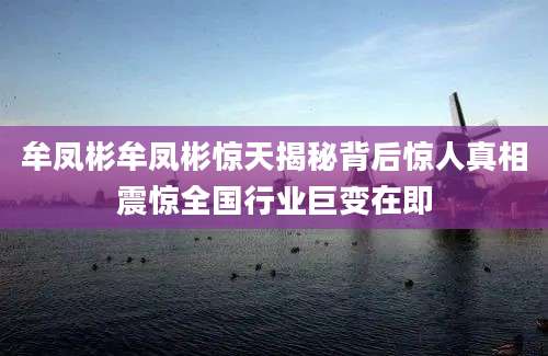 牟凤彬牟凤彬惊天揭秘背后惊人真相震惊全国行业巨变在即