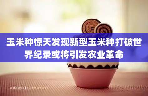 玉米种惊天发现新型玉米种打破世界纪录或将引发农业革命