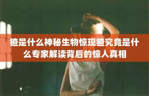 猹是什么神秘生物惊现猹究竟是什么专家解读背后的惊人真相