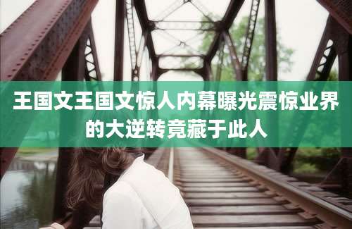 王国文王国文惊人内幕曝光震惊业界的大逆转竟藏于此人