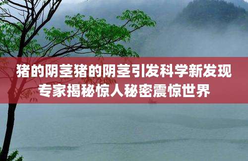 猪的阴茎猪的阴茎引发科学新发现专家揭秘惊人秘密震惊世界