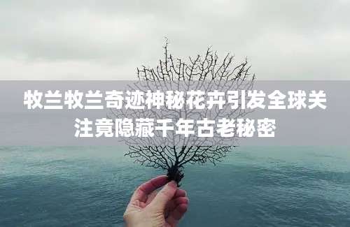 牧兰牧兰奇迹神秘花卉引发全球关注竟隐藏千年古老秘密