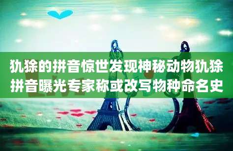 犰狳的拼音惊世发现神秘动物犰狳拼音曝光专家称或改写物种命名史