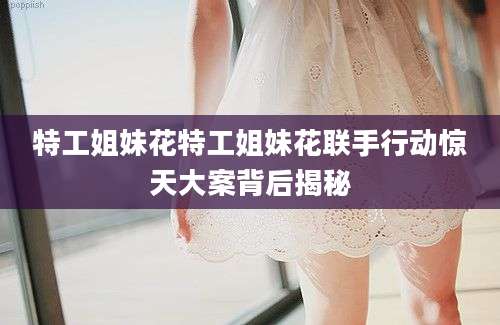 特工姐妹花特工姐妹花联手行动惊天大案背后揭秘
