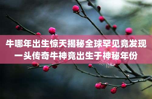 牛哪年出生惊天揭秘全球罕见竟发现一头传奇牛神竟出生于神秘年份
