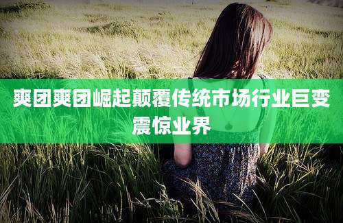 爽团爽团崛起颠覆传统市场行业巨变震惊业界
