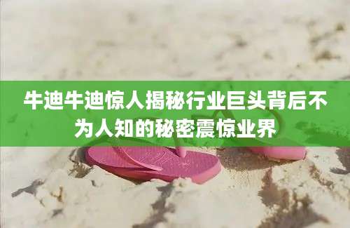牛迪牛迪惊人揭秘行业巨头背后不为人知的秘密震惊业界