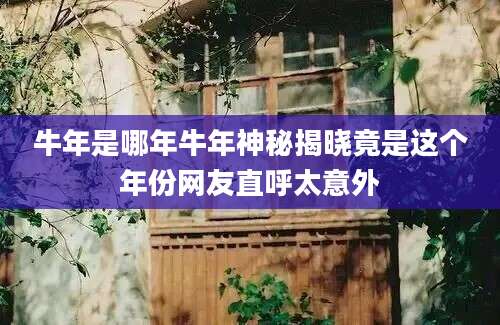 牛年是哪年牛年神秘揭晓竟是这个年份网友直呼太意外