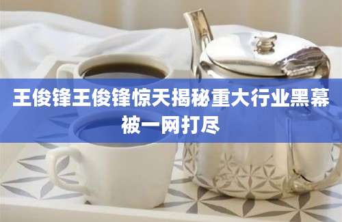 王俊锋王俊锋惊天揭秘重大行业黑幕被一网打尽