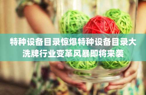 特种设备目录惊爆特种设备目录大洗牌行业变革风暴即将来袭