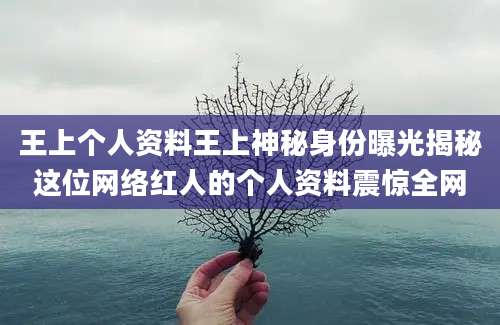 王上个人资料王上神秘身份曝光揭秘这位网络红人的个人资料震惊全网