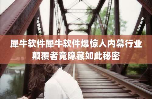犀牛软件犀牛软件爆惊人内幕行业颠覆者竟隐藏如此秘密
