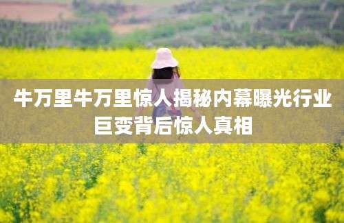 牛万里牛万里惊人揭秘内幕曝光行业巨变背后惊人真相