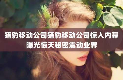猎豹移动公司猎豹移动公司惊人内幕曝光惊天秘密震动业界