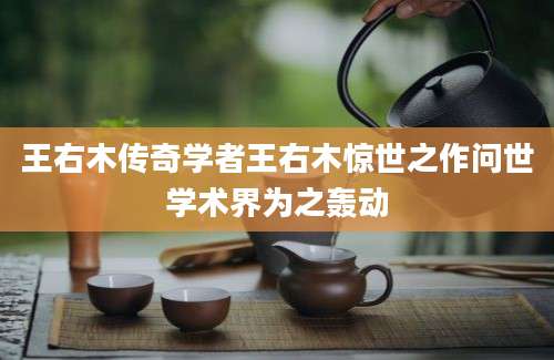王右木传奇学者王右木惊世之作问世学术界为之轰动