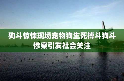 狗斗惊悚现场宠物狗生死搏斗狗斗惨案引发社会关注