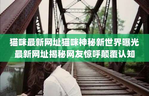猫咪最新网址猫咪神秘新世界曝光最新网址揭秘网友惊呼颠覆认知