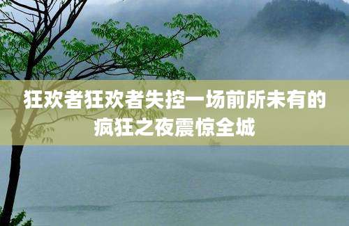 狂欢者狂欢者失控一场前所未有的疯狂之夜震惊全城