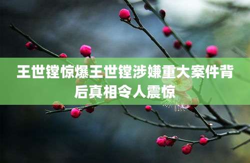 王世镗惊爆王世镗涉嫌重大案件背后真相令人震惊
