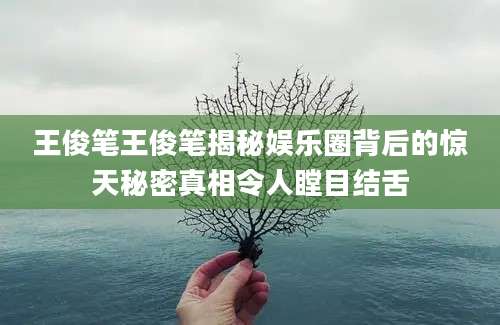 王俊笔王俊笔揭秘娱乐圈背后的惊天秘密真相令人瞠目结舌