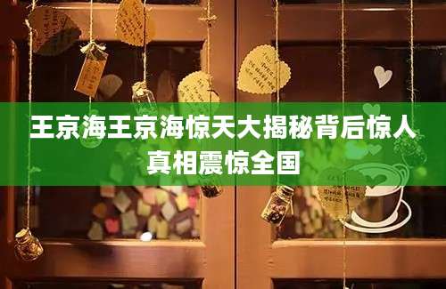 王京海王京海惊天大揭秘背后惊人真相震惊全国