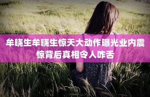 牟晓生牟晓生惊天大动作曝光业内震惊背后真相令人咋舌