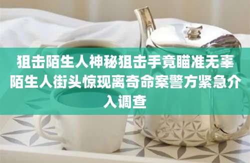 狙击陌生人神秘狙击手竟瞄准无辜陌生人街头惊现离奇命案警方紧急介入调查