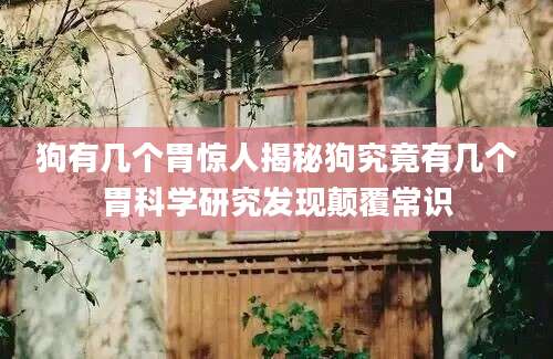 狗有几个胃惊人揭秘狗究竟有几个胃科学研究发现颠覆常识