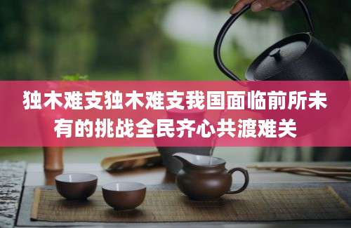 独木难支独木难支我国面临前所未有的挑战全民齐心共渡难关