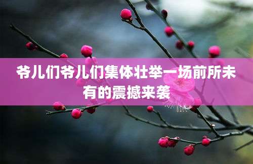 爷儿们爷儿们集体壮举一场前所未有的震撼来袭