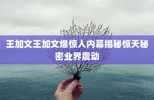 王加文王加文爆惊人内幕揭秘惊天秘密业界震动
