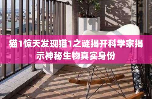 猫1惊天发现猫1之谜揭开科学家揭示神秘生物真实身份