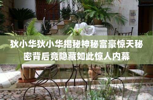 狄小华狄小华揭秘神秘富豪惊天秘密背后竟隐藏如此惊人内幕