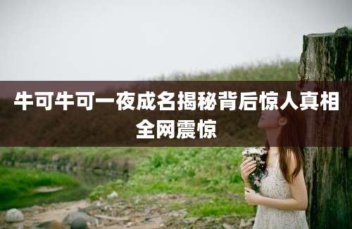 牛可牛可一夜成名揭秘背后惊人真相全网震惊