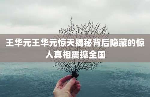王华元王华元惊天揭秘背后隐藏的惊人真相震撼全国