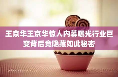 王京华王京华惊人内幕曝光行业巨变背后竟隐藏如此秘密