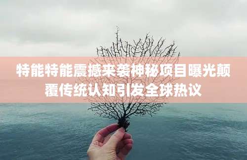 特能特能震撼来袭神秘项目曝光颠覆传统认知引发全球热议