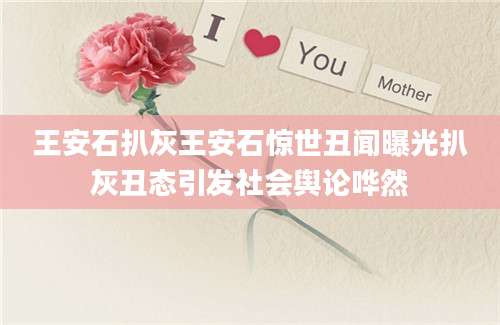 王安石扒灰王安石惊世丑闻曝光扒灰丑态引发社会舆论哗然