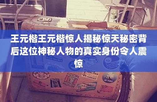 王元楷王元楷惊人揭秘惊天秘密背后这位神秘人物的真实身份令人震惊