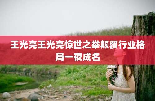 王光亮王光亮惊世之举颠覆行业格局一夜成名