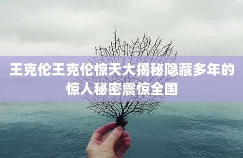 王克伦王克伦惊天大揭秘隐藏多年的惊人秘密震惊全国