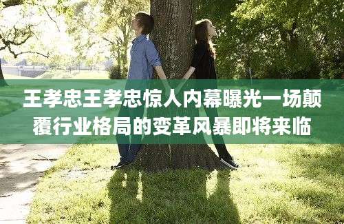 王孝忠王孝忠惊人内幕曝光一场颠覆行业格局的变革风暴即将来临