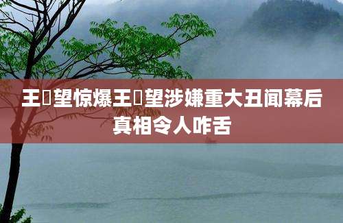 王亶望惊爆王亶望涉嫌重大丑闻幕后真相令人咋舌