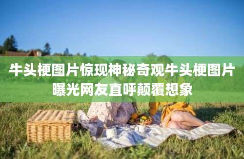 牛头梗图片惊现神秘奇观牛头梗图片曝光网友直呼颠覆想象
