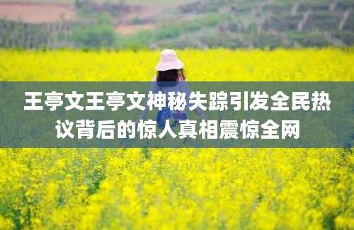 王亭文王亭文神秘失踪引发全民热议背后的惊人真相震惊全网