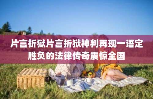 片言折狱片言折狱神判再现一语定胜负的法律传奇震惊全国